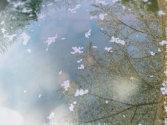 -杭州少年儿童公园
