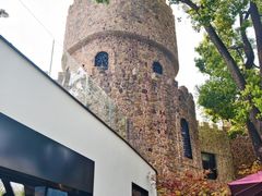 -J Create城市露营咖啡·简餐·宠物(上海动物园店)