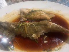 -东鸽皇(奥园·中环广场店)