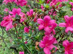 -华南国家植物园-售票处