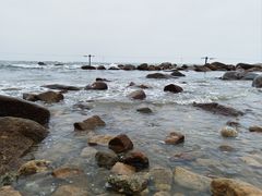 -广东惠东海龟国家级自然保护区