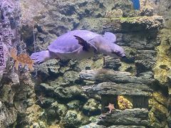-欢乐海岸海洋奇梦馆