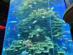 -泉城欧乐堡海洋极地世界
