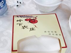 -岭下农庄·农家菜·野生大头鱼·公司团建(福永凤凰山店)