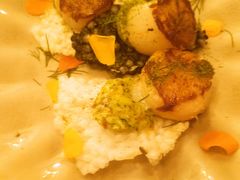 -the rug 飞毯 (朝阳公园店)