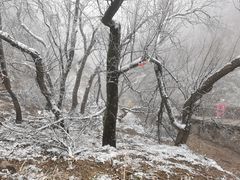 -泰山风景名胜区