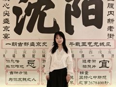 -中街·盛京龙城