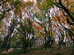 -青岛海滨风景区小鱼山