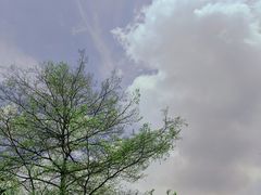 -松山湖风景区松湖烟雨