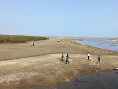 -北海金海湾红树林生态旅游区