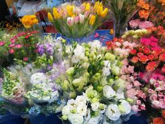 -循礼门鲜花花市(武汉循礼门店)