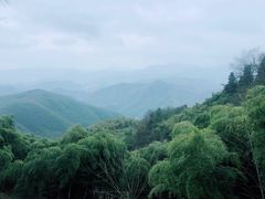 -莫干山风景区