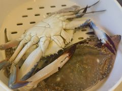 -苏大嘴蒸汽海鲜·海胆蒸饺(中山广场店)