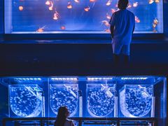 -海合安武汉极地海洋公园