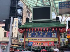 -罗汉果龙眼冰糖燉冬瓜