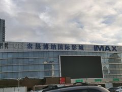 -农垦博纳国际影城(津奥广场IMAX店)