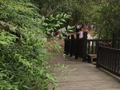 -仙海旅游度假区