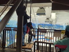 -长沙湘江冰雪世界