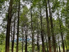 -贵阳市花溪国家城市湿地公园