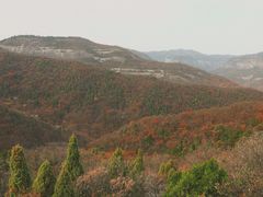 -照金香山旅游景区