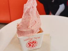 -野人先生现做冰淇淋(北京王府井东方新天地店)