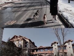 -长白山万达喜来登度假酒店