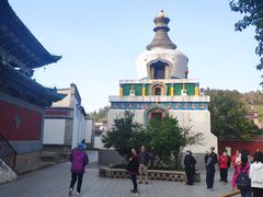 -塔尔寺