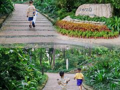 -成都市活水公园