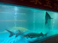 -年辉渔村