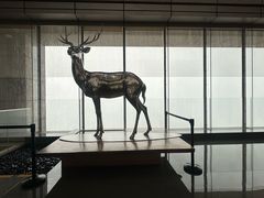 -北京柏悦酒店·锦庭餐厅Dining Room