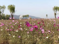 -雪浪山卡丁车俱乐部