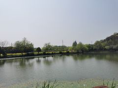 -八卦田遗址公园