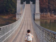 -东湖落雁景区