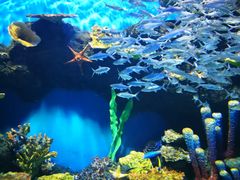 -华夏文旅海洋公园