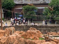 -昆明动物园