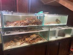 -樱之盛宴·蟹料理海鲜自助(前进大街店)