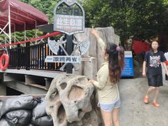 -将军关探险漂流