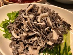-宏达老菜馆(东安街店)