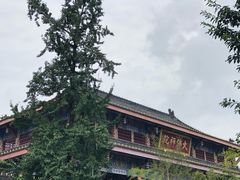 景点-大佛禅院