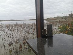 -东滩湿地公园观海楼餐厅
