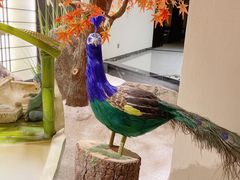 -汤里来温泉