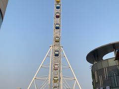 -琴岛之星摩天轮