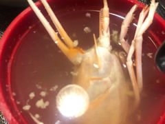 -九酢·海鲜居酒屋