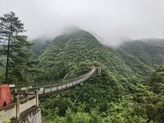 -娄山关景区