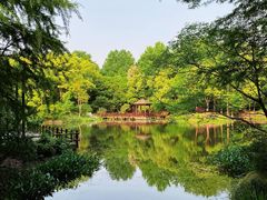 -上海滨江森林公园
