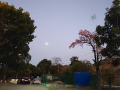 -水濂山森林公园