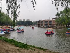 -万泉公园