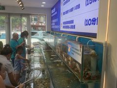 -仙螺岛海鲜自助餐厅(总店)