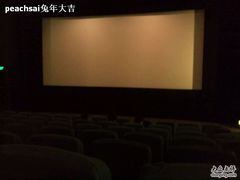 -大光明电影院(南京西路店)
