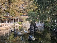 -国恩寺